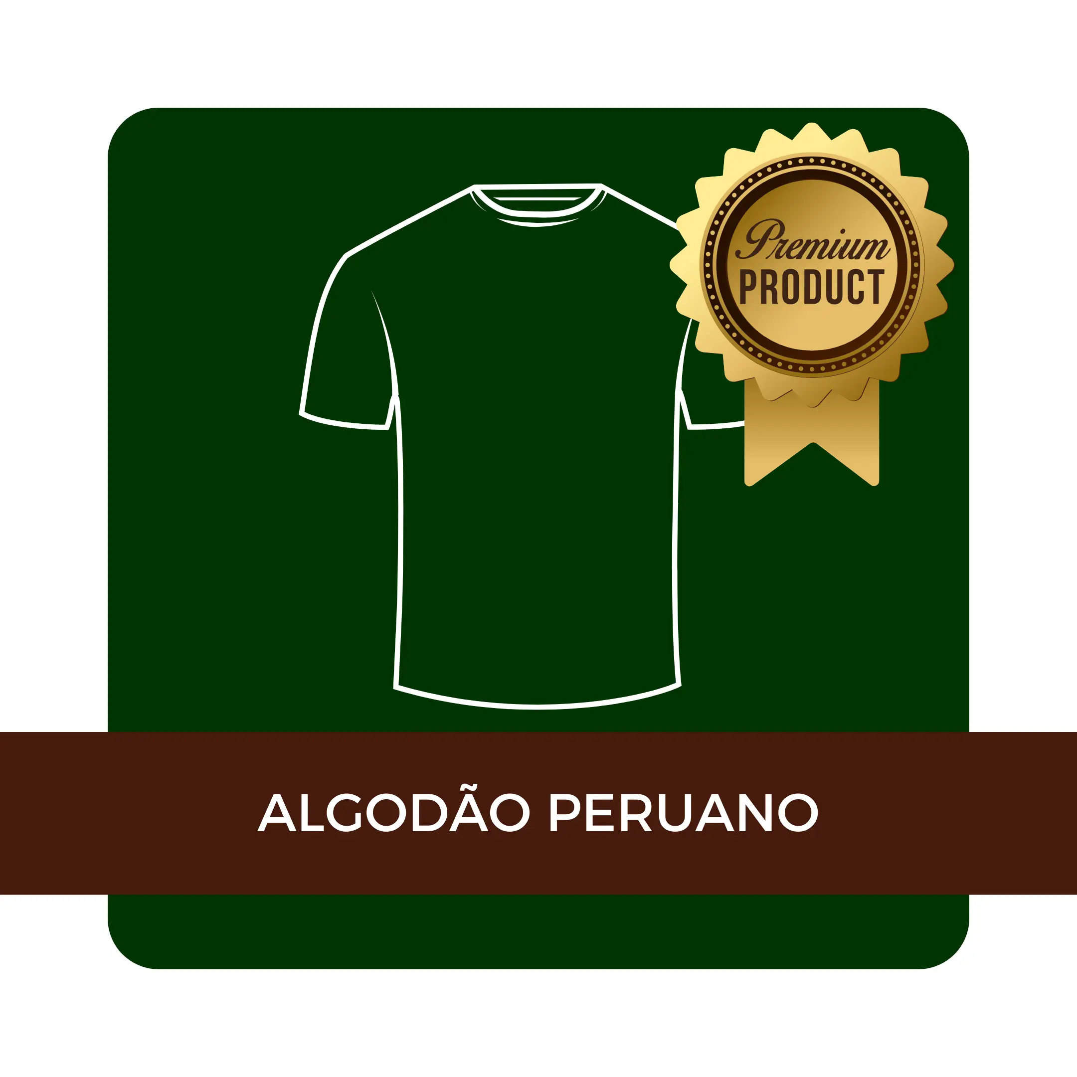 Imagem 3 da seção 15