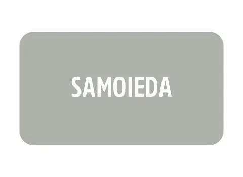 Imagem 0 da seção 21