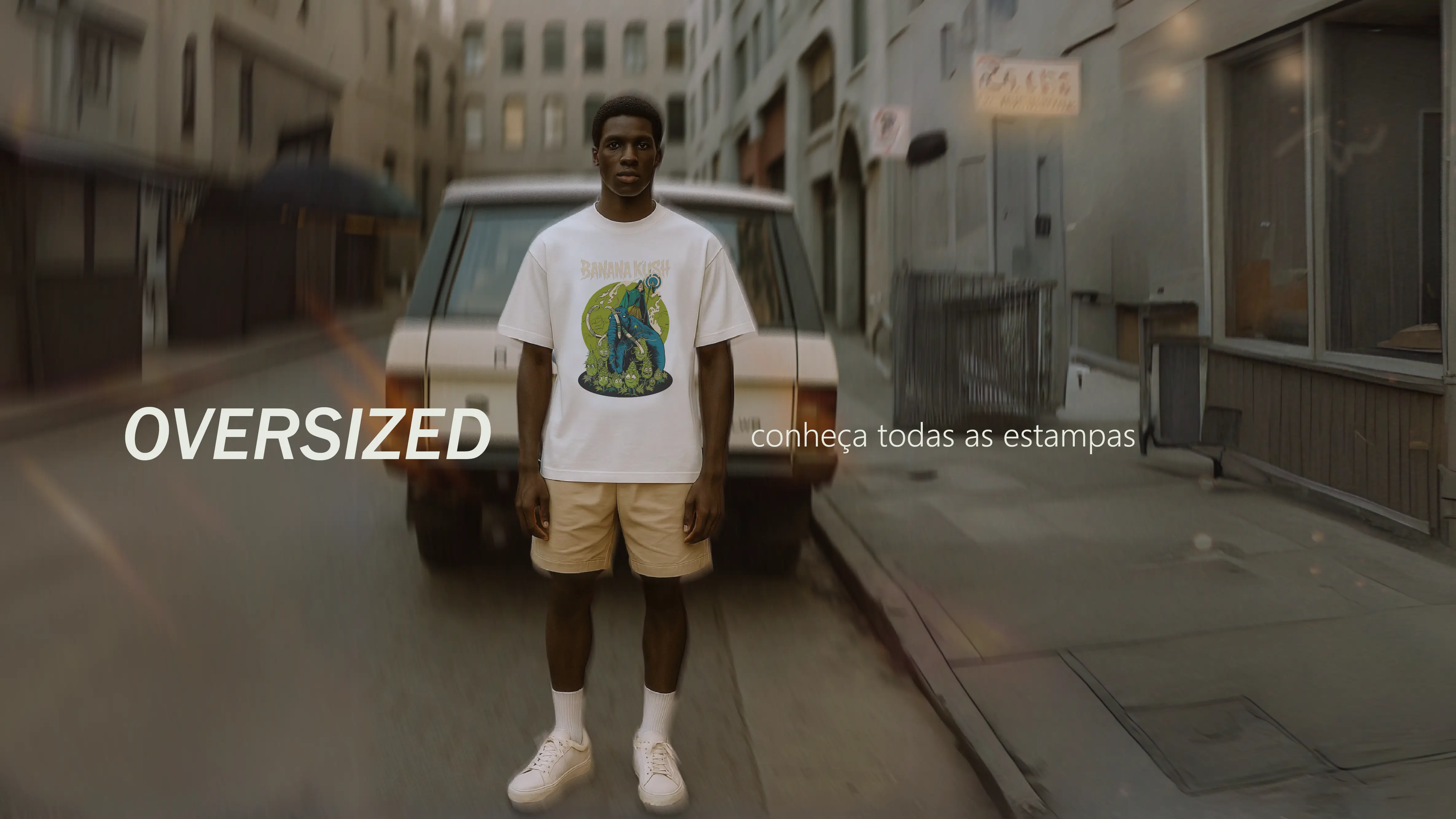 Imagem 0 da seção 11