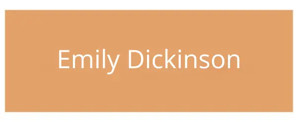 Imagem 2 da seção 19