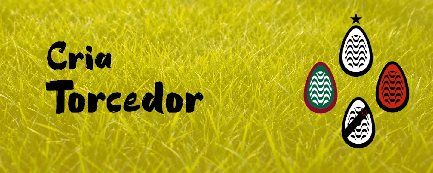 Imagem 0 da seção 6