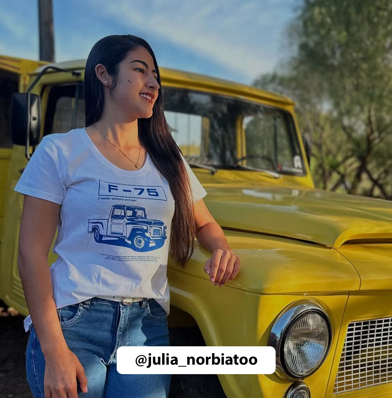 Imagem 5 da seção 14