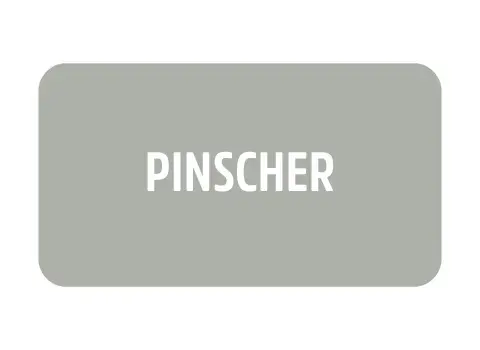 Imagem 3 da seção 20