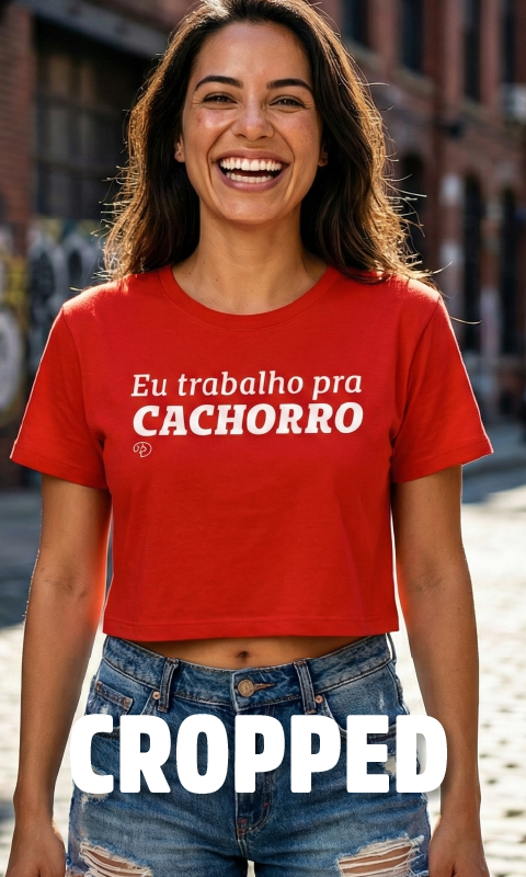 Imagem 2 da seção 11