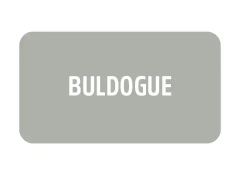 Imagem 2 da seção 19