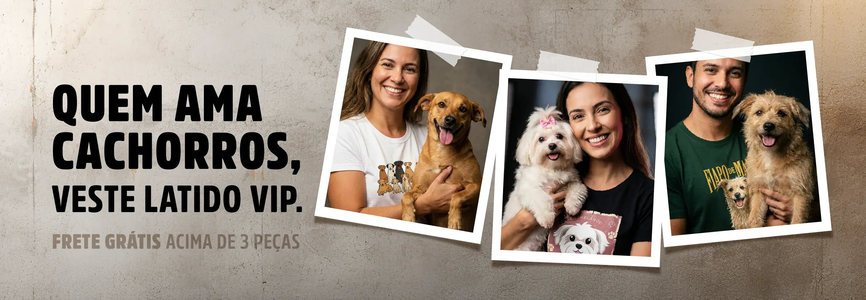 Imagem 0 da seção 1