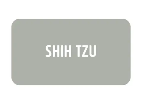 Imagem 2 da seção 21