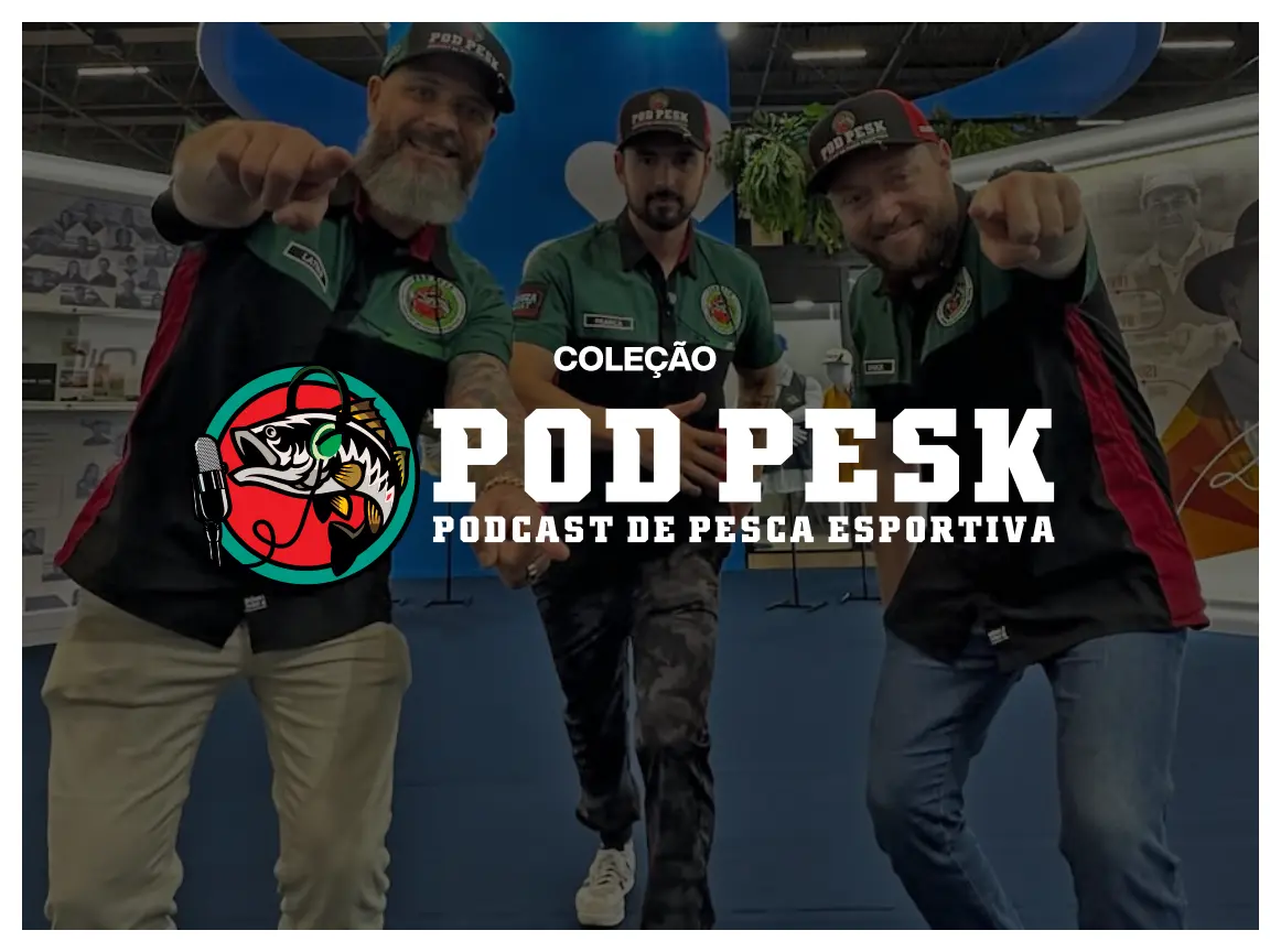 Imagem 0 da seção 11