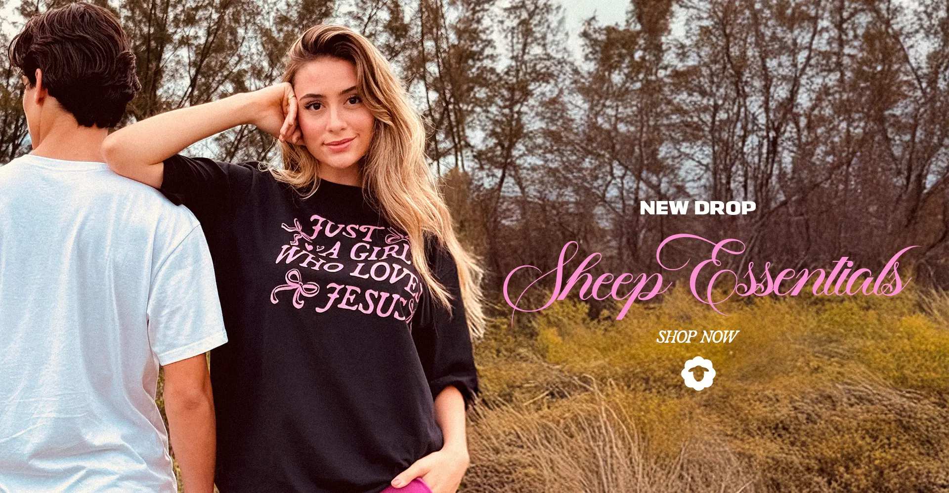 Imagem 0 da seção 1