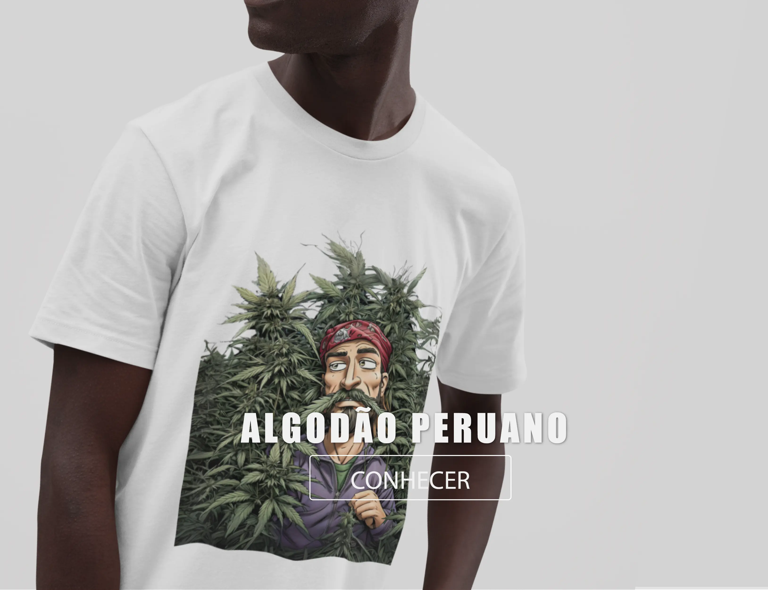 Imagem 0 da seção 13