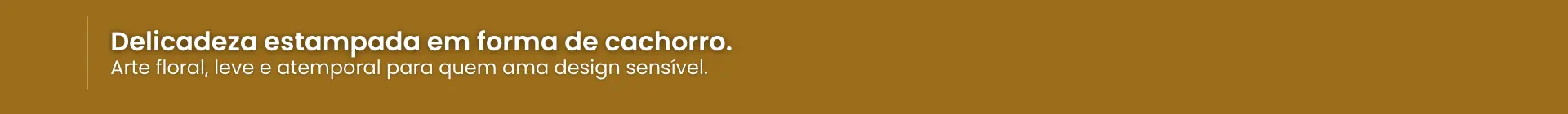 Imagem 0 da seção 9