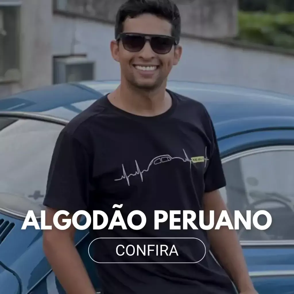 Imagem 2 da seção 3