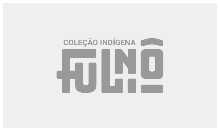 Imagem 1 da seção 27