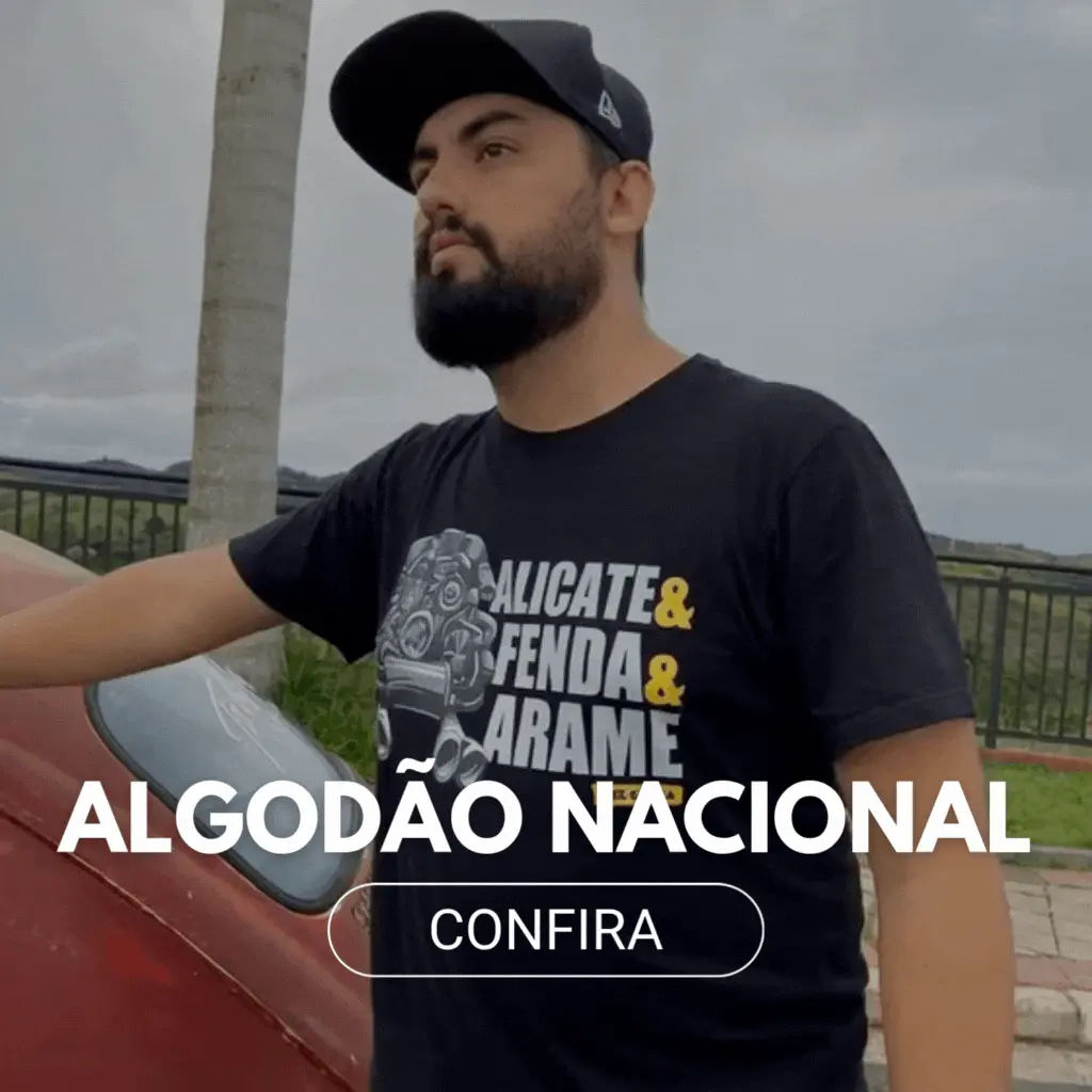 Imagem 1 da seção 3