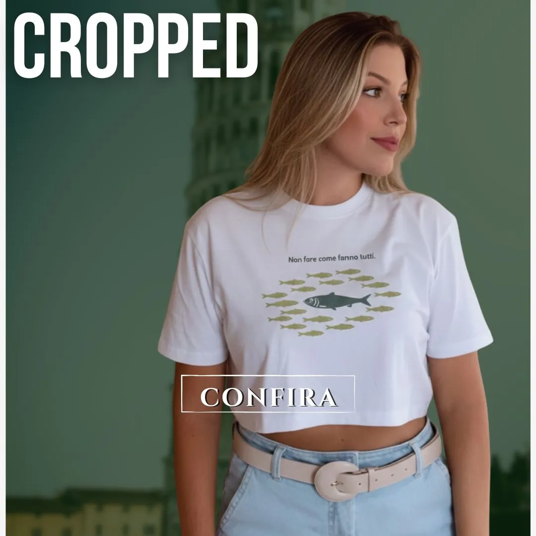 Imagem 1 da seção 16