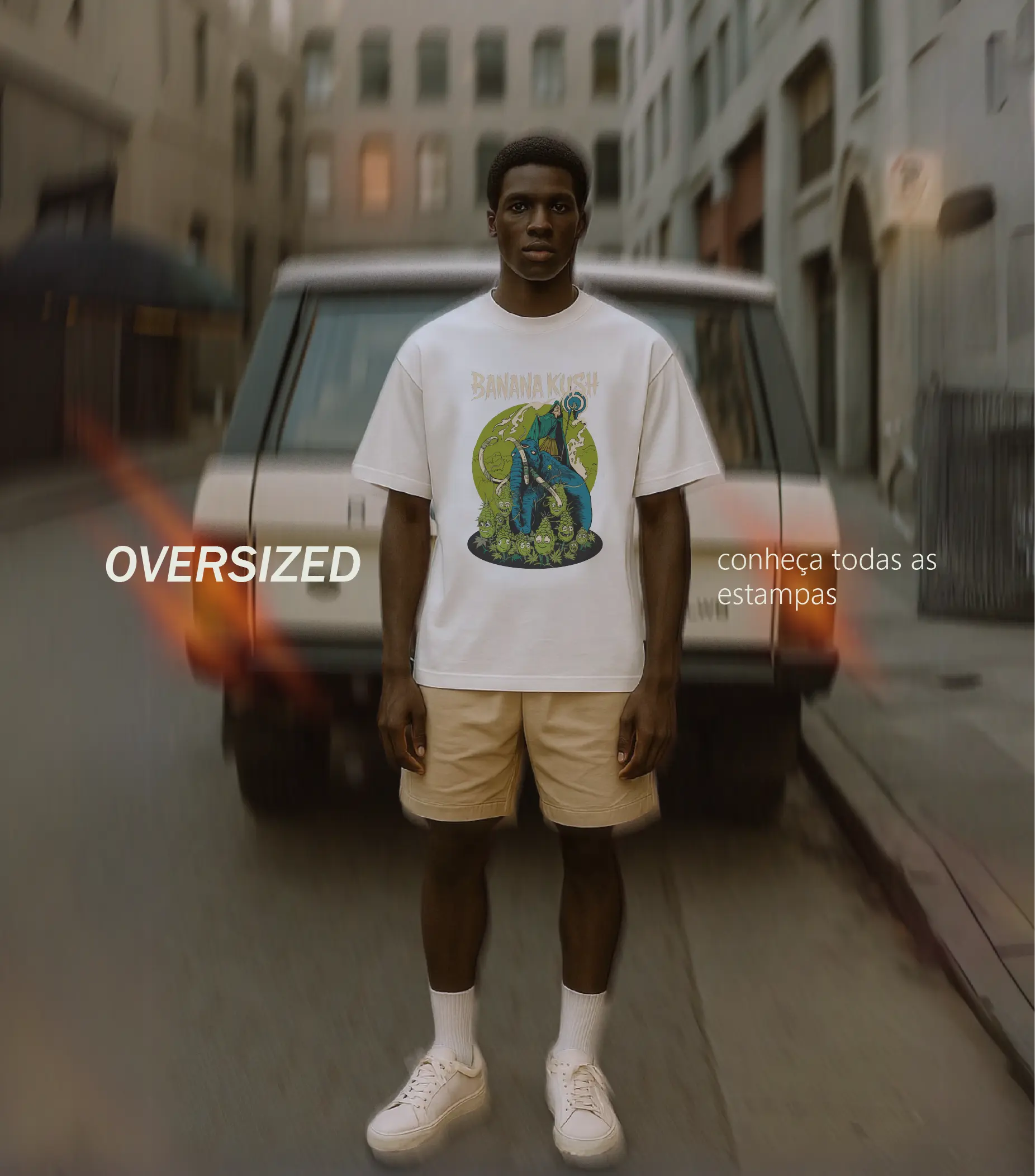 Imagem 0 da seção 11