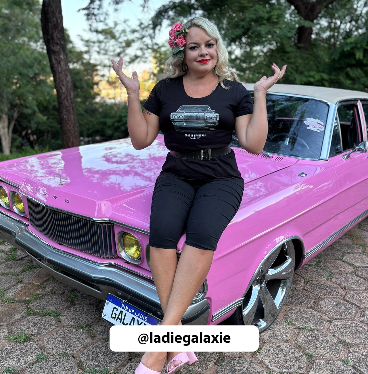 Imagem 3 da seção 18