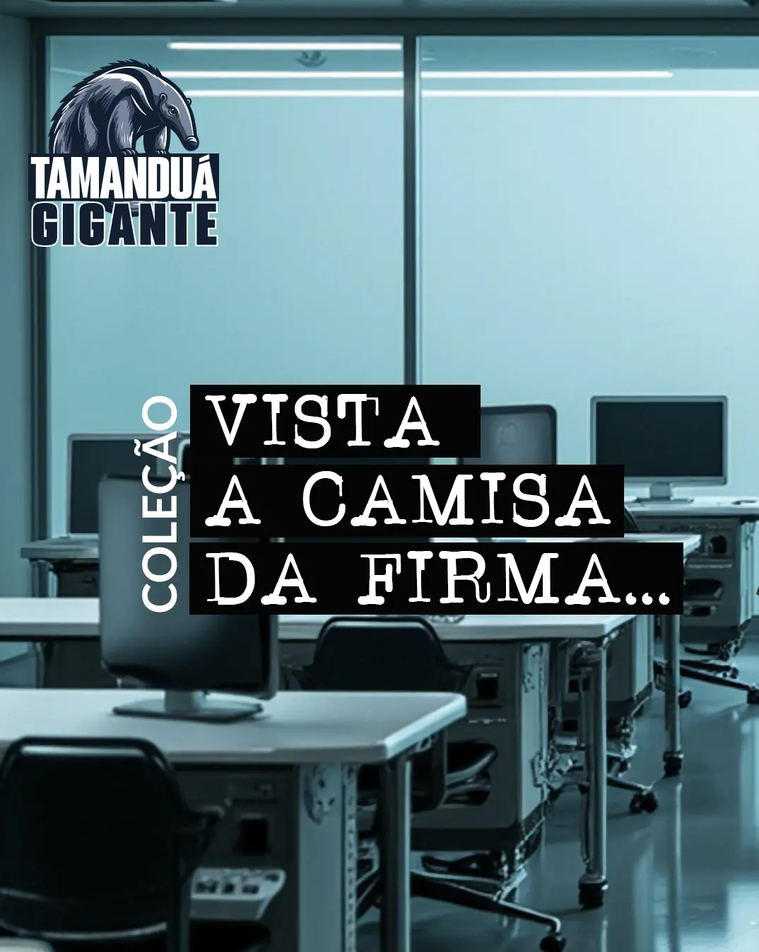 Imagem 1 da seção 5