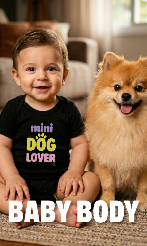 Imagem 4 da seção 11