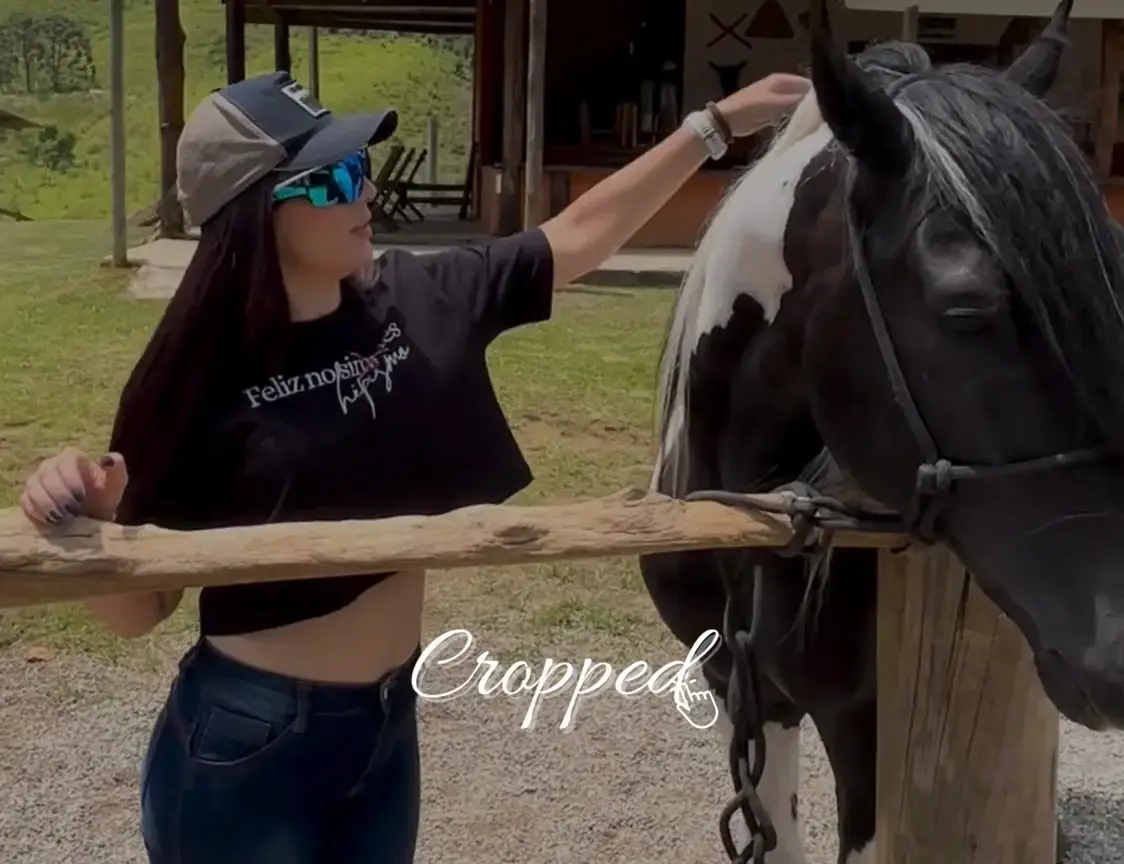 Imagem 1 da seção 7