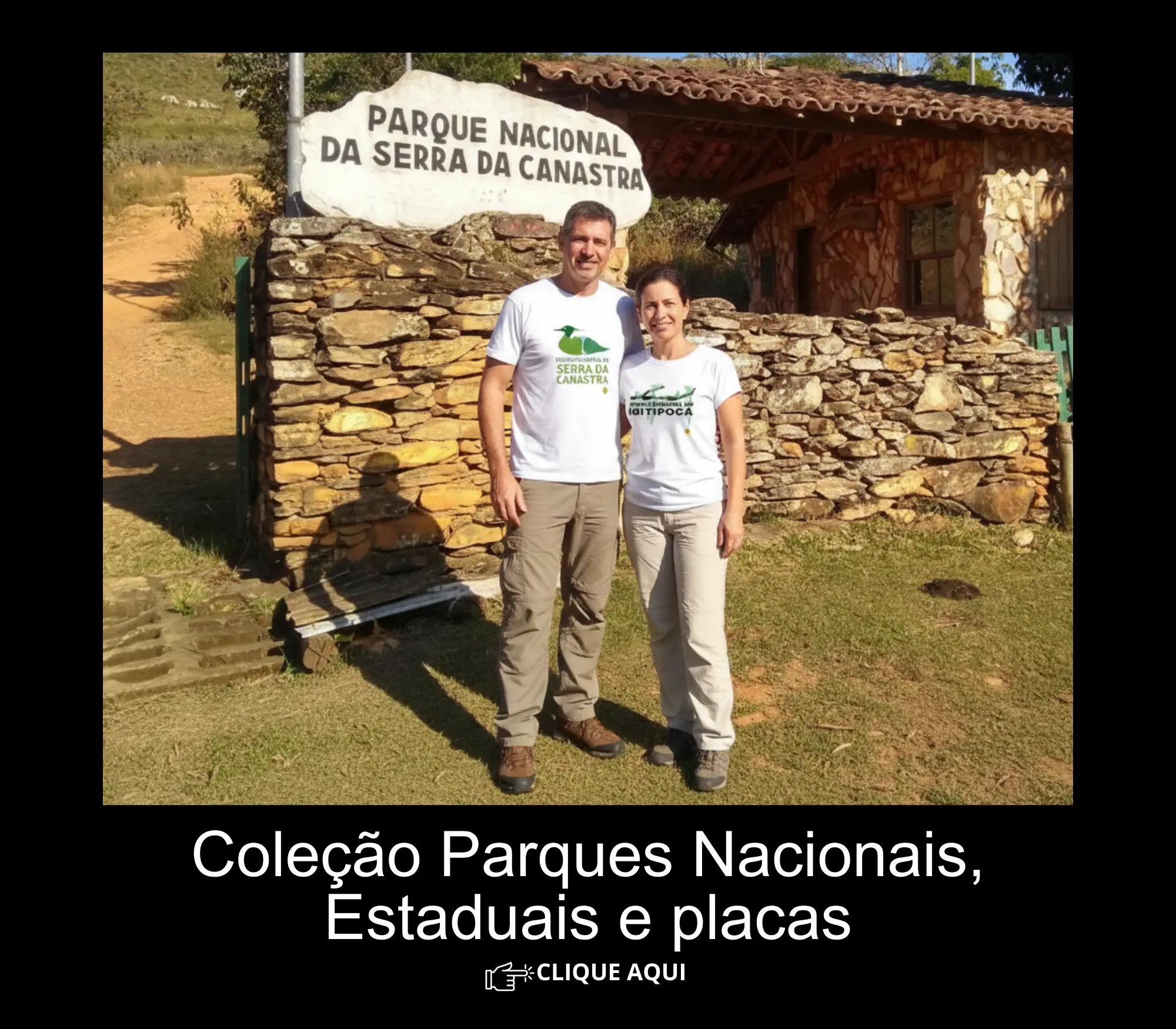 Imagem 0 da seção 8