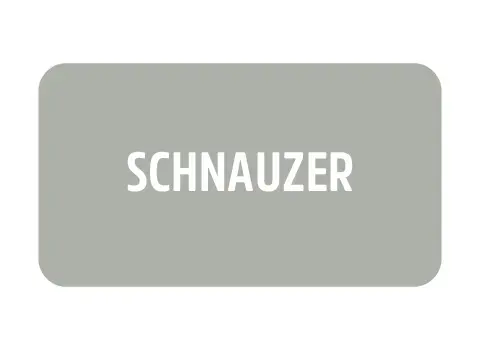 Imagem 1 da seção 21