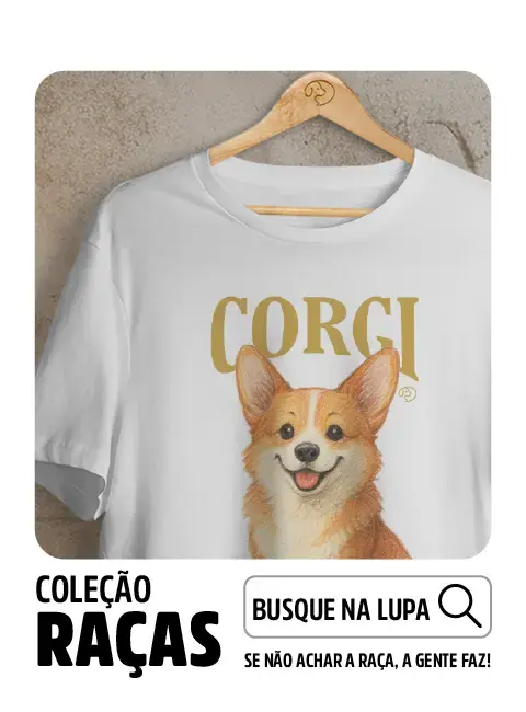 Imagem 4 da seção 3