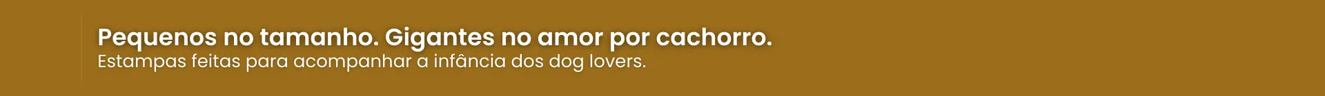 Imagem 0 da seção 7