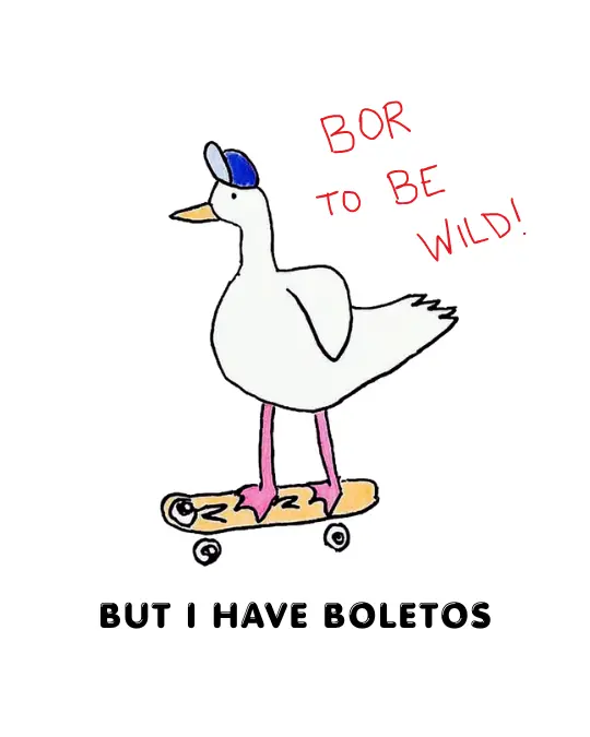 Imagem 0 da seção 9