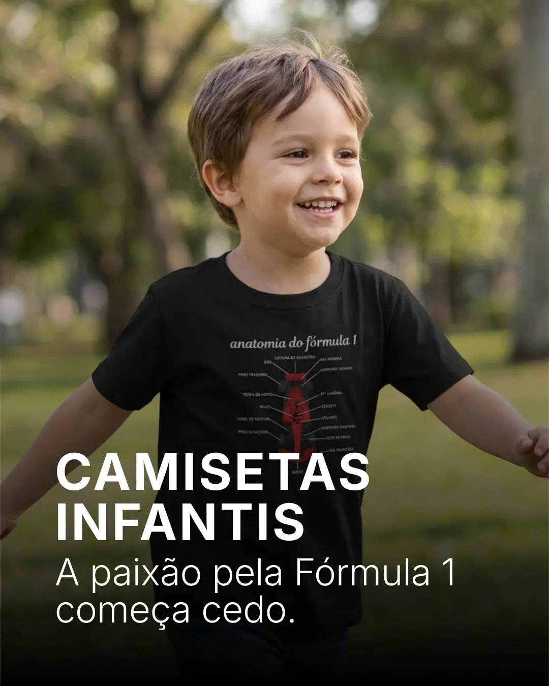 Imagem 2 da seção 5