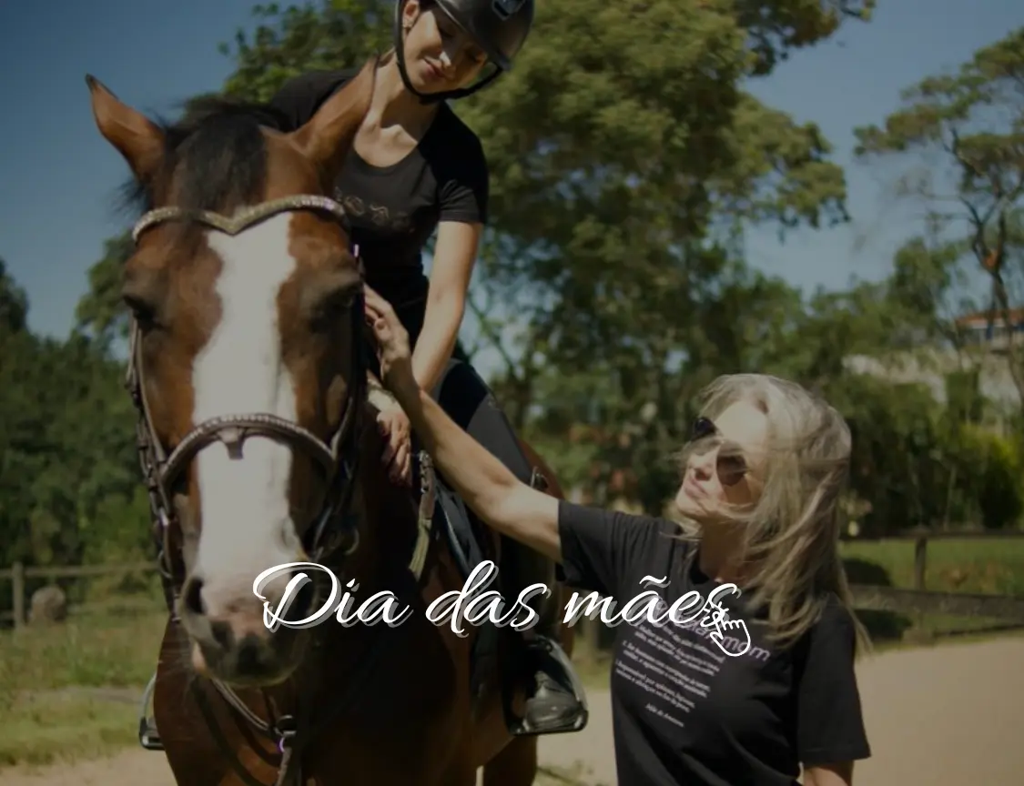 Imagem 0 da seção 4