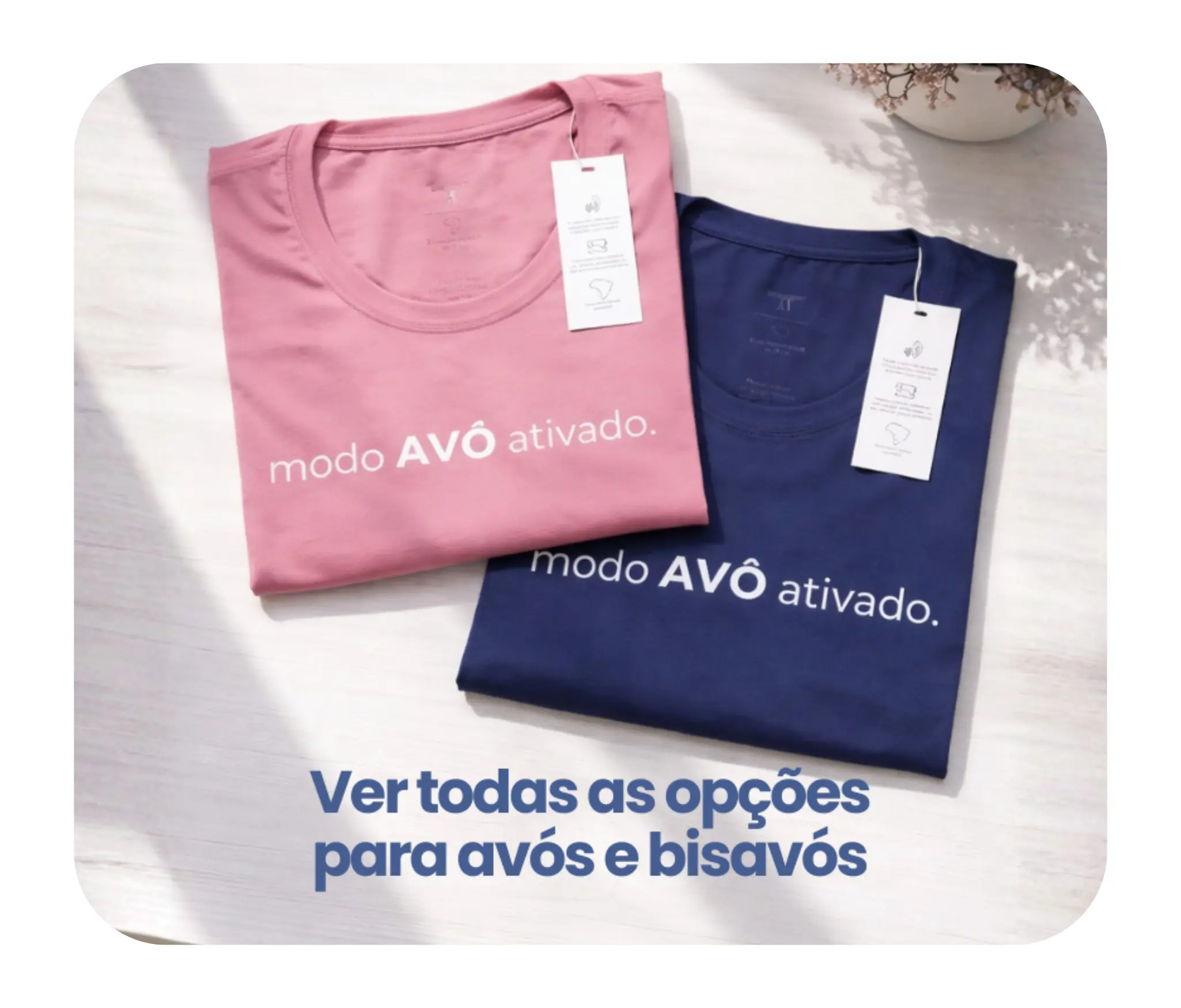 Imagem 1 da seção 6