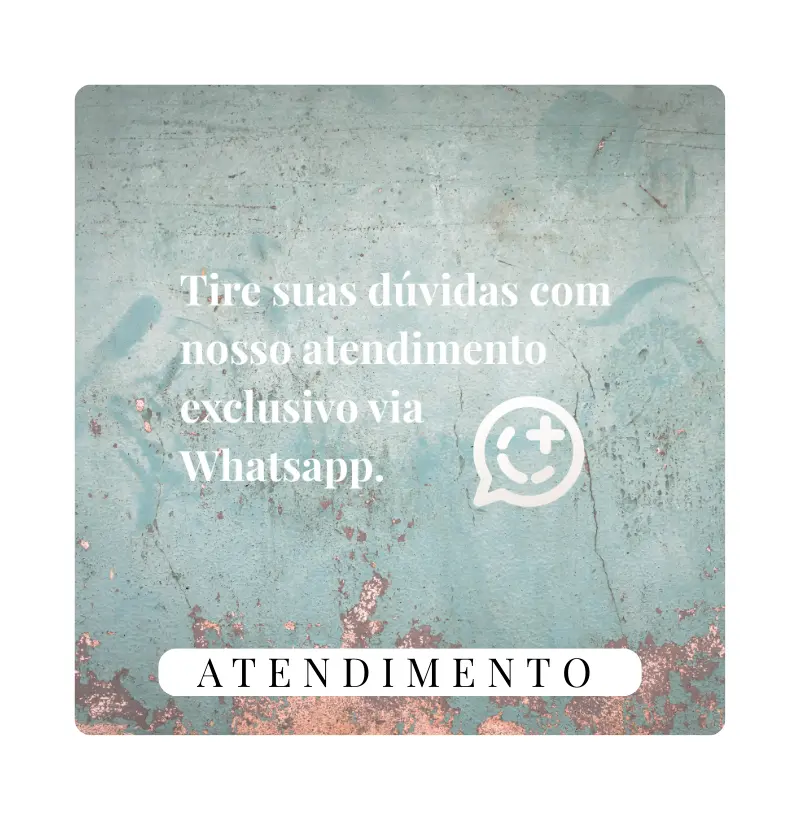 Imagem 1 da seção 11