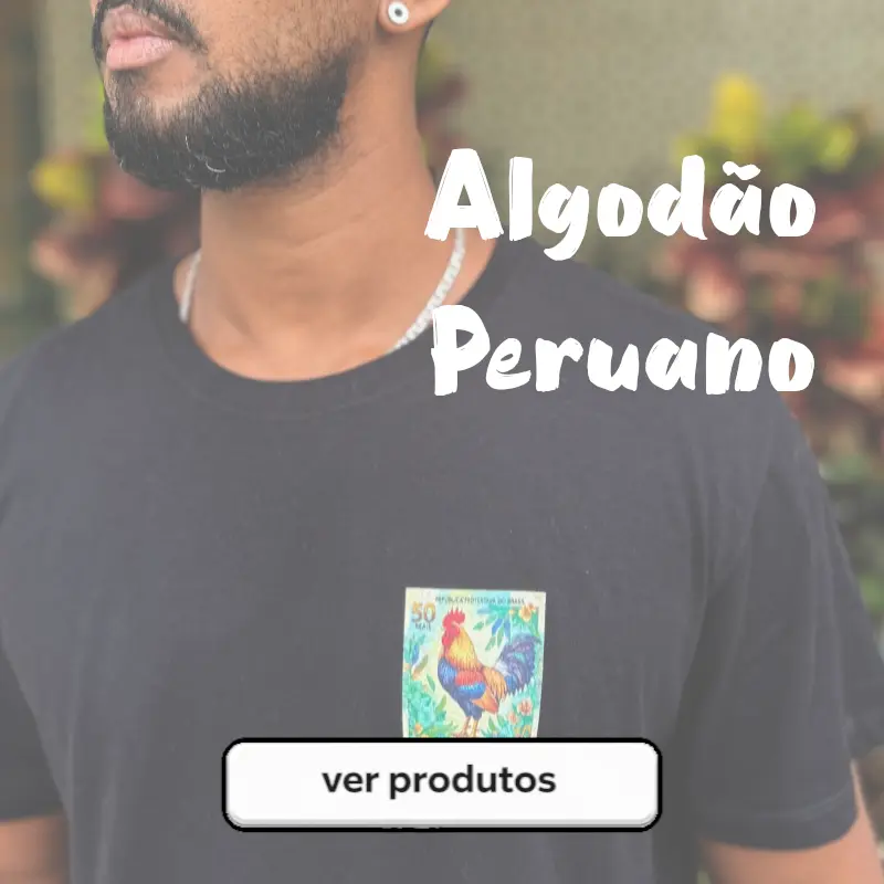 Imagem 1 da seção 2