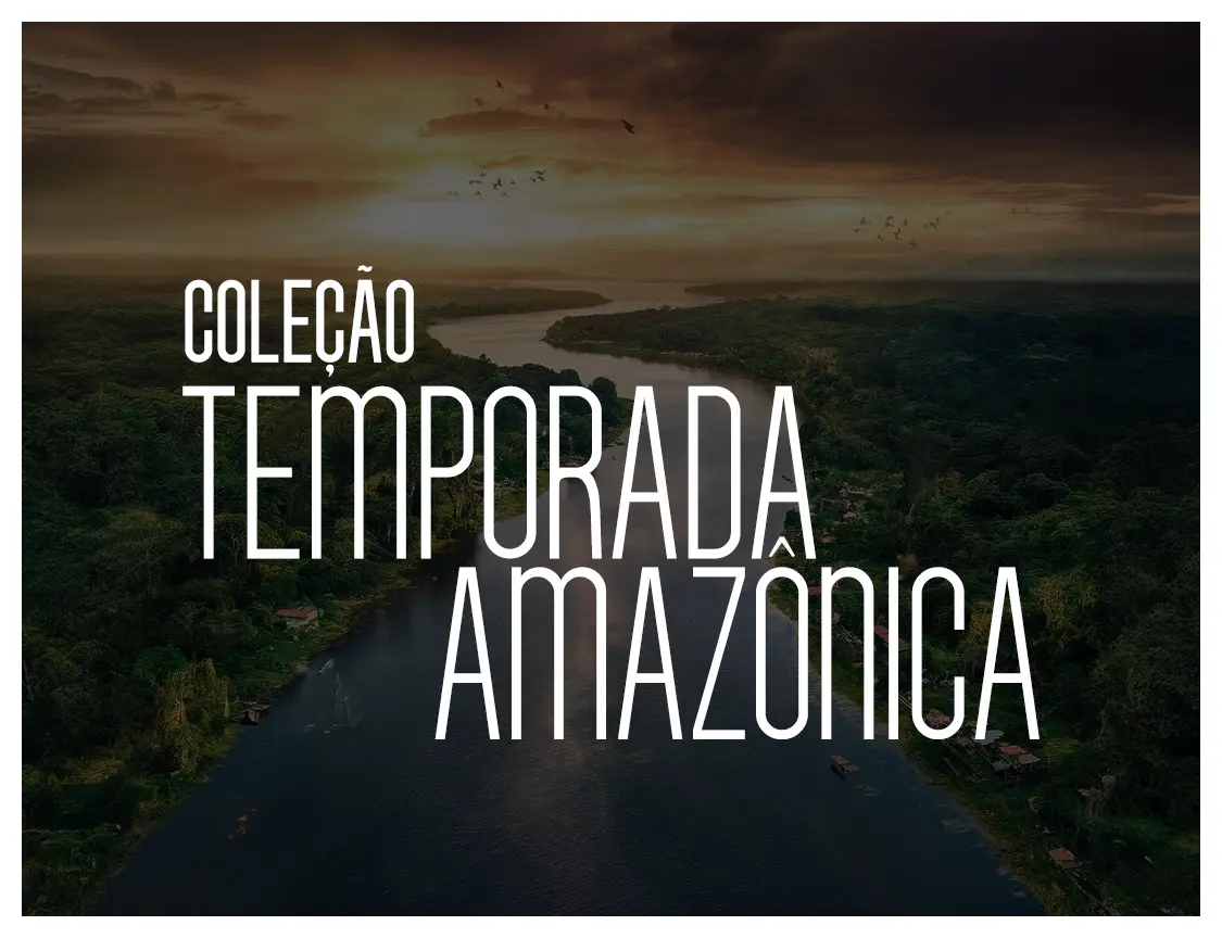 Imagem 0 da seção 5