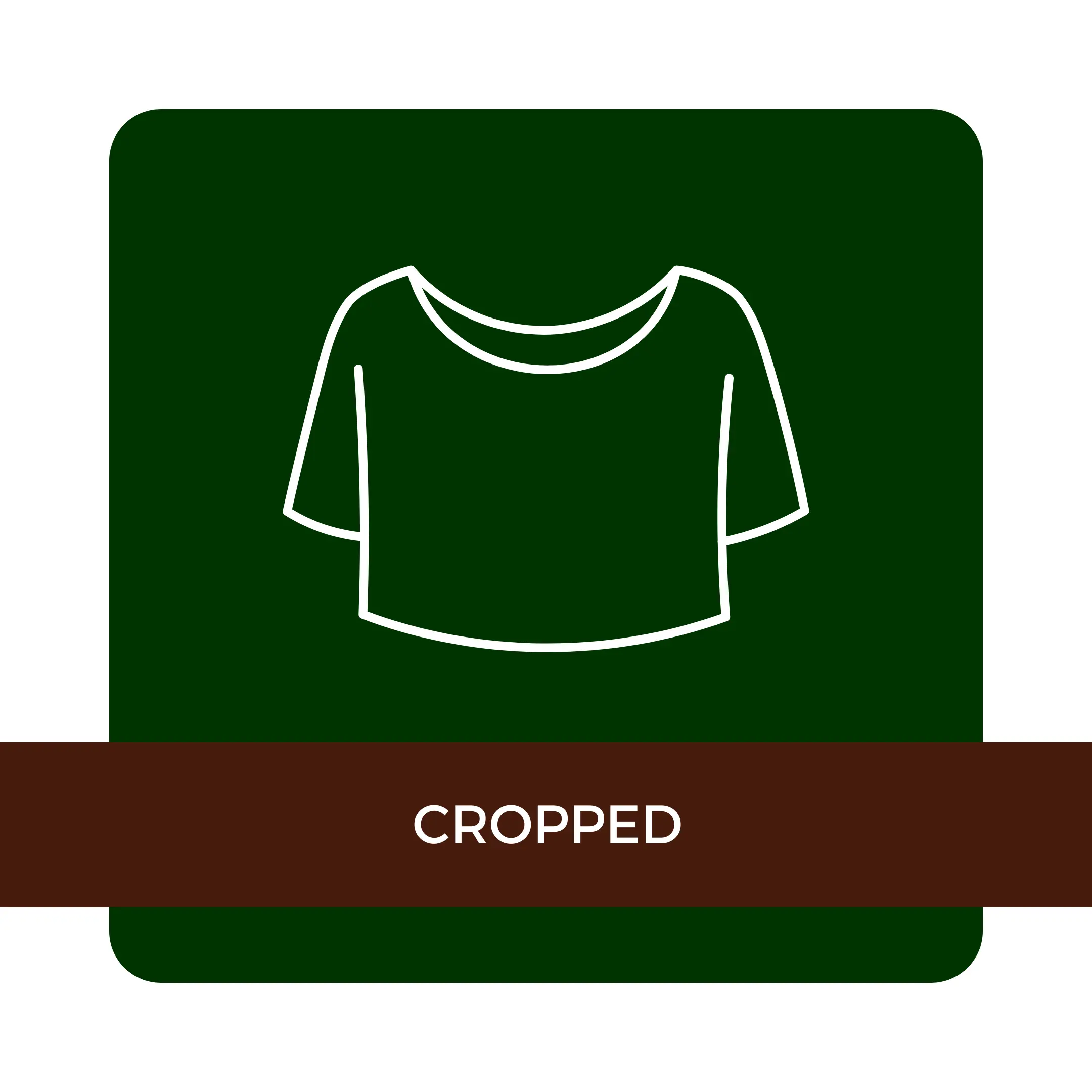 Imagem 2 da seção 15