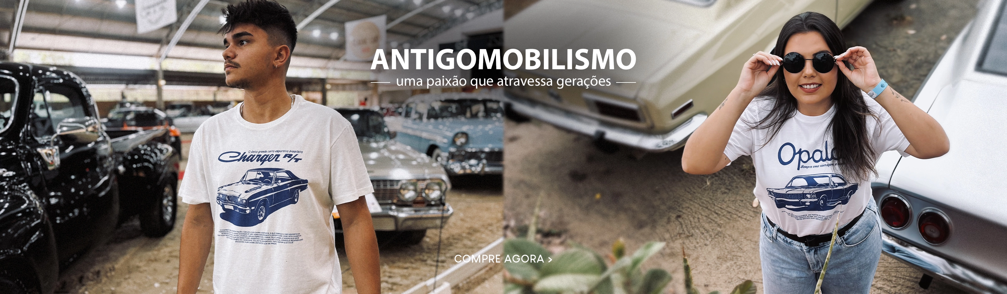 Imagem 0 da seção 1