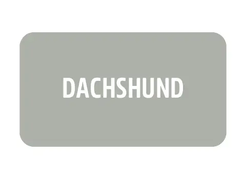 Imagem 4 da seção 19