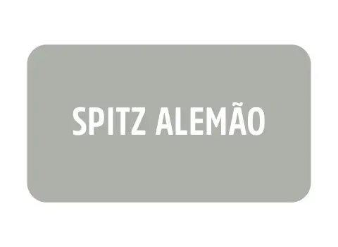 Imagem 3 da seção 21