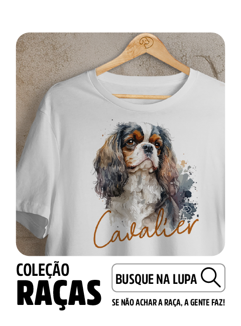 Imagem 4 da seção 3