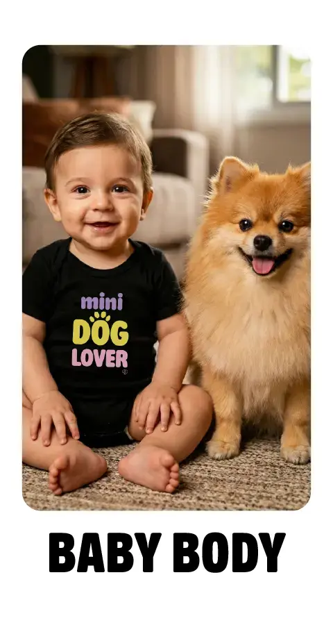 Imagem 4 da seção 17