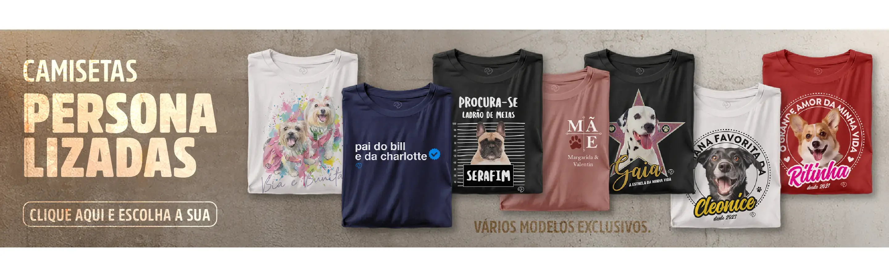 Imagem 0 da seção 11