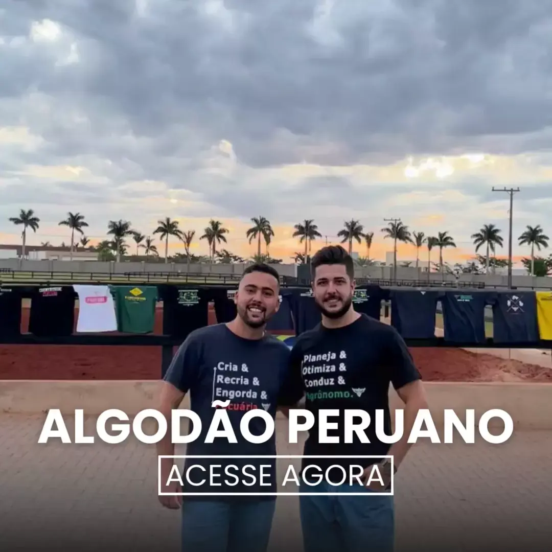 Imagem 1 da seção 3