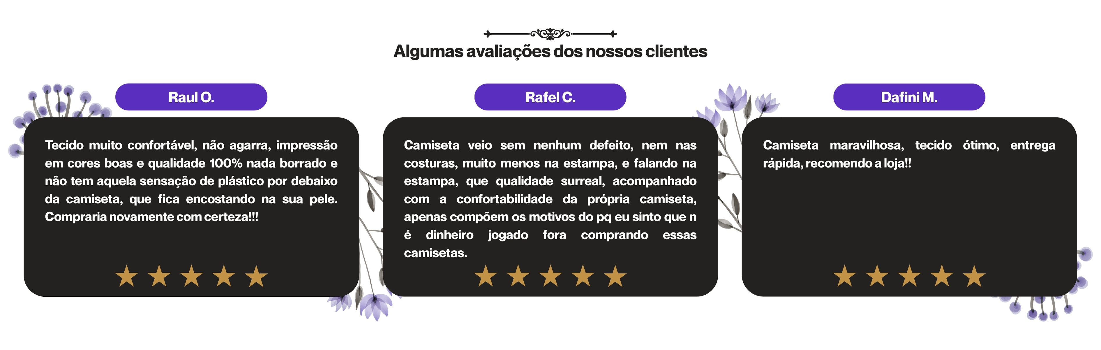 Imagem 0 da seção 12