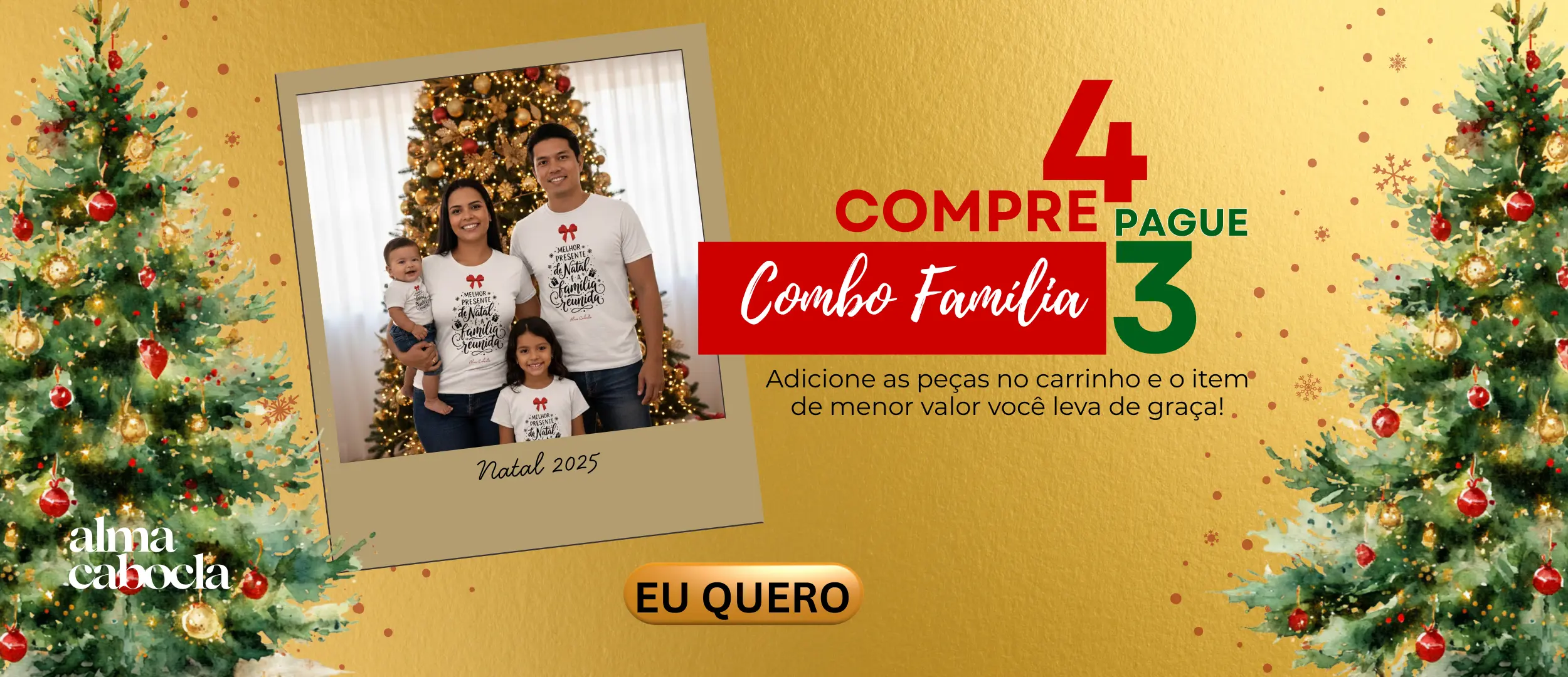 Imagem 0 da seção 1