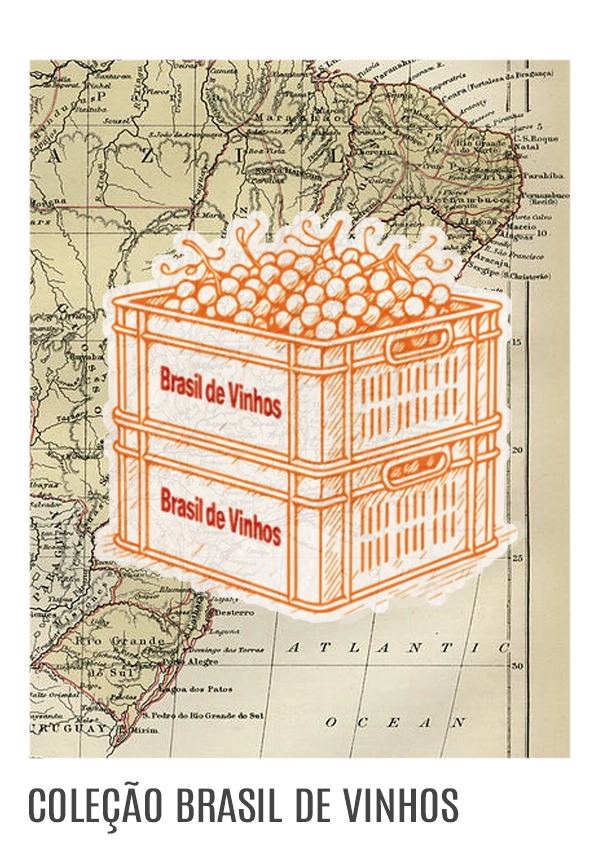 Imagem 1 da seção 3