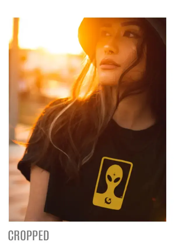 Imagem 2 da seção 29