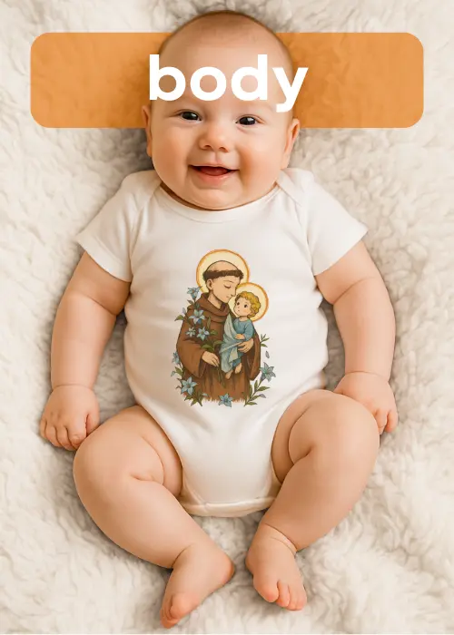 Imagem 5 da seção 8