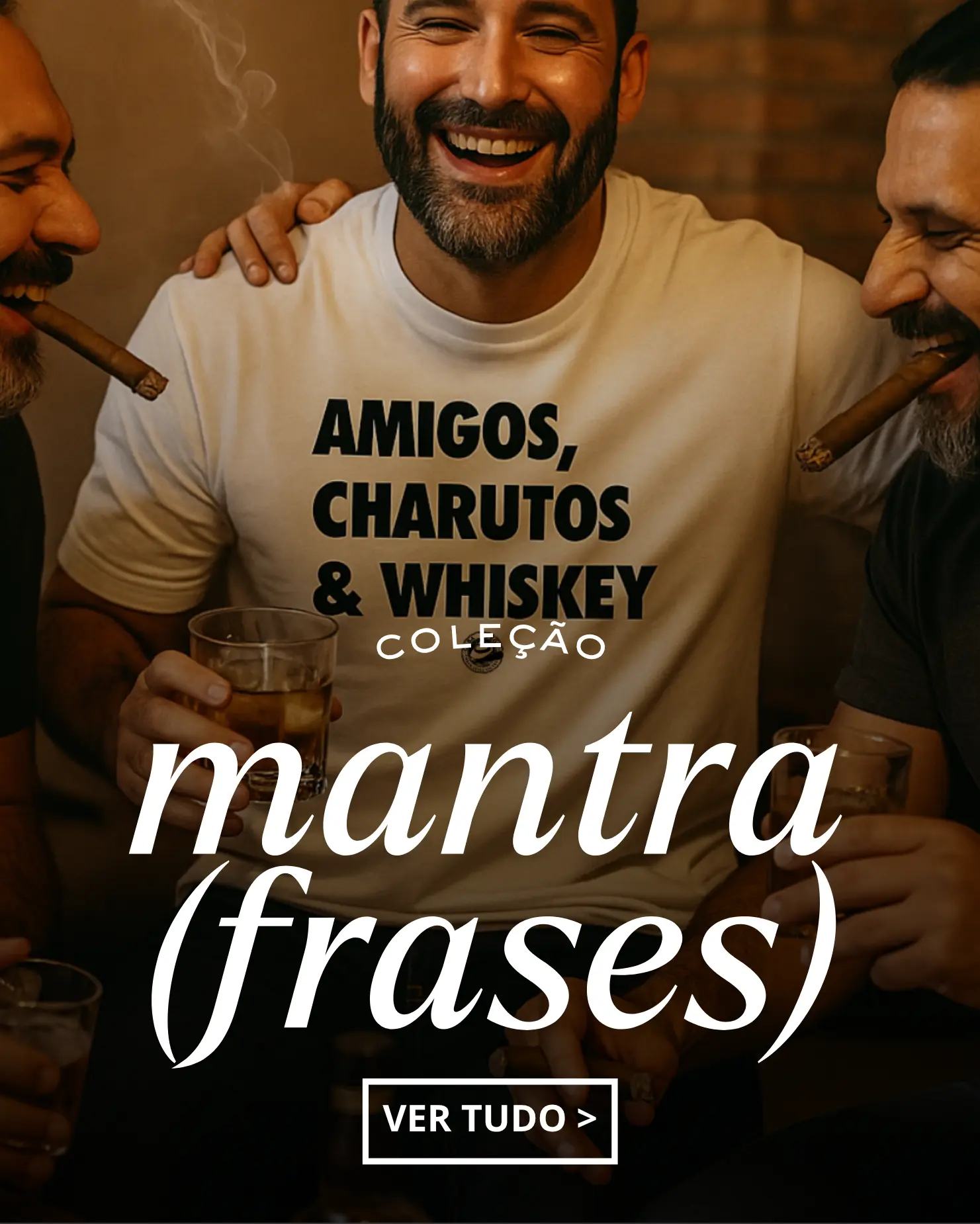 Imagem 2 da seção 11