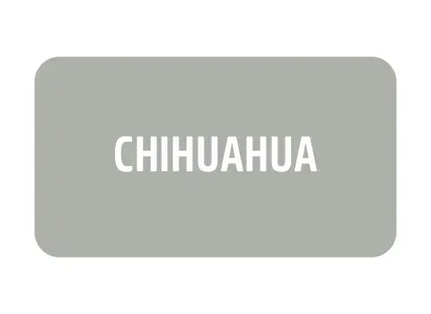 Imagem 3 da seção 19